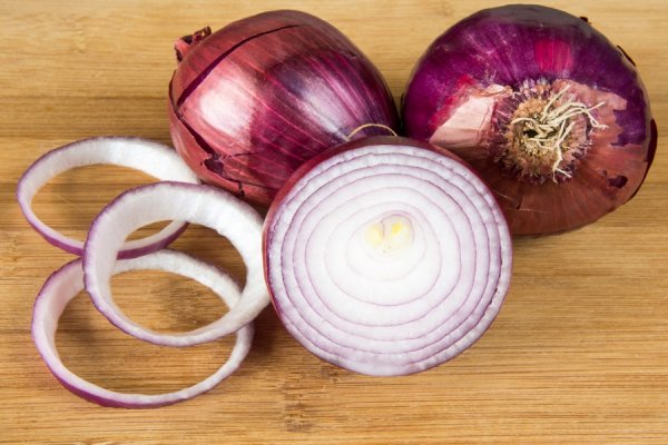 Solaris onion link